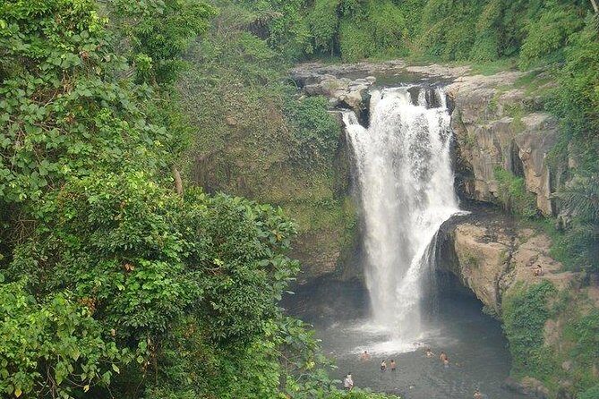 Best of Bali Jungle Swing with Ubud Sightseeing Tour - Ubud Art Market in 30 Minutes: Quick Shopping, Not a Wandering Marathon