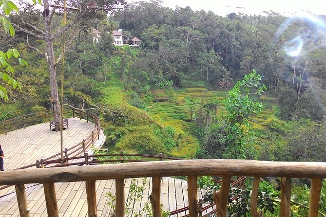 Best of Bali : Ubud, Rice terrace, Tanah lot temple with Lunch - Why this one-day Best of Bali route makes sense