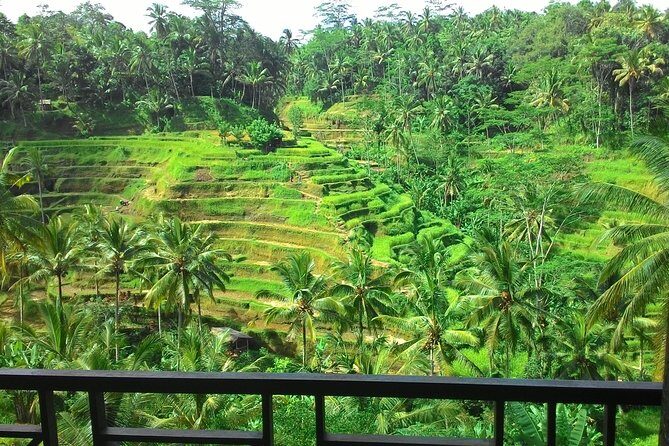Best of Bali : Ubud, Rice terrace, Tanah lot temple with Lunch - Uma Pakel Agro Tourism: coffee, chocolate, and what grows around it