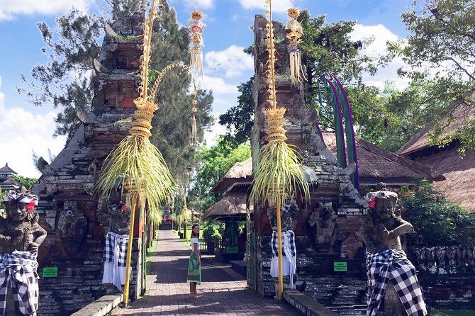 Best of Bali Water Temple and UNISCO Rice Terrace Trek - Driver and guides: safer driving, plus cultural context