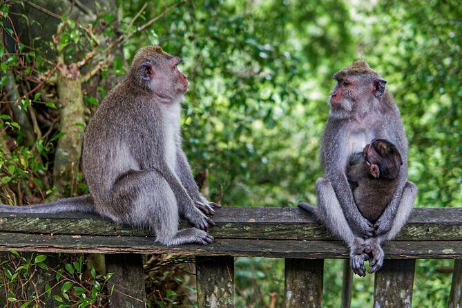 Best Of Ubud Private Day Tour With Local Guide - Key points I’d bookmark before you go