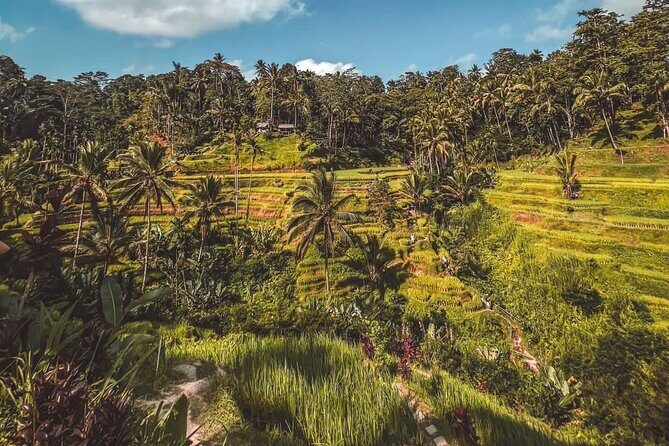 Best Of Ubud Private Day Tour With Local Guide - Stop 4: Tegenungan Waterfall, the 10 km payoff