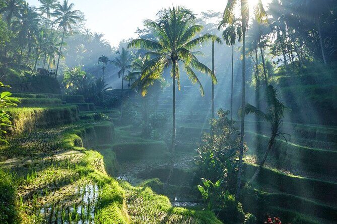 Best of Ubud: Rice Terrace, Temple and Waterfall Private Tour - Key things I’d plan for before you go