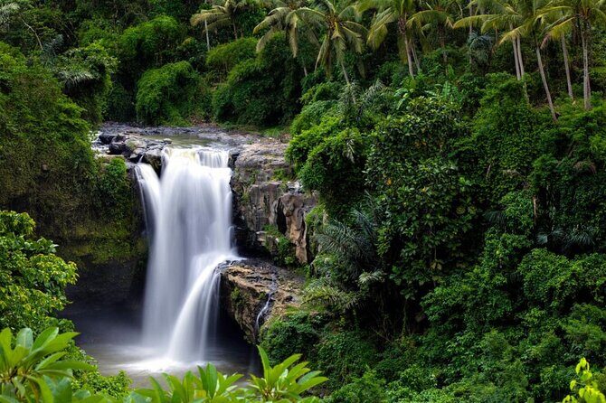 Best of Ubud: Rice Terrace, Temple and Waterfall Private Tour - Craft villages and holy water temple: when the Ubud theme shifts from views to skills