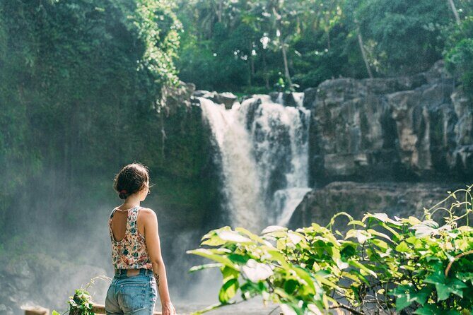 Best of Ubud Sightseeing Private All Inclusive Tour - Price and time: what you’re paying for (and why it adds up)