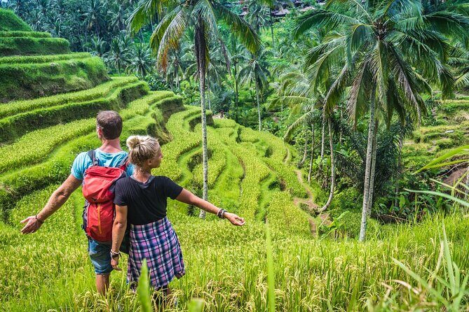 Best of Ubud Sightseeing Private All Inclusive Tour - Stop 2: Tegalalang Rice Terrace and the Subak irrigation story