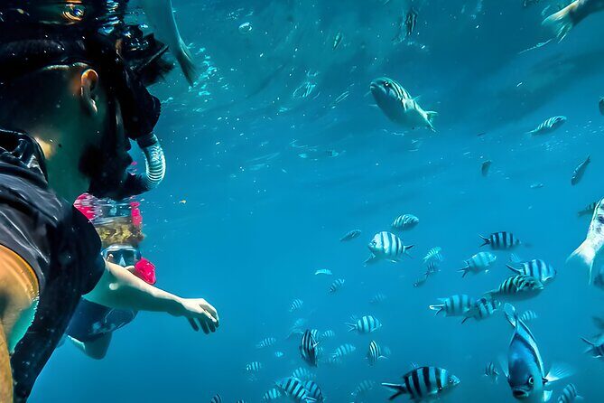 Best Snorkeling Activity in Blue Lagoon Beach Bali - Blue Lagoon Beach near Padangbai: why this reef is so easy