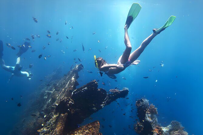 Best Snorkeling Activity in Blue Lagoon Beach Bali - In the water: what you’ll likely see (and how to spot it)