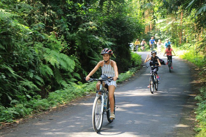 Bike ride in the rice fields, Bali countryside - Meeting at 8:00 am: Snack, Bikes, and a Smooth Start