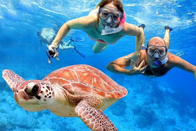 Blow Lagoon Bali Snorkeling and see Bali Bats Cave Temple - Private door-to-door transfers from Ubud and south Bali