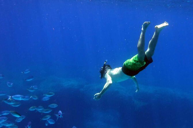 Blow Lagoon Bali Snorkeling and see Bali Bats Cave Temple - Should you book Blow Lagoon and Goa Lawah?