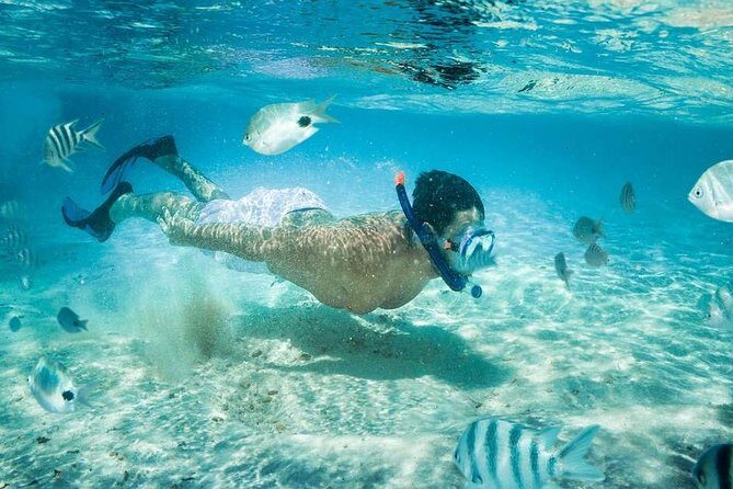 Blow Lagoon Bali Snorkeling and see Bali Bats Cave Temple - Two hours at Blue Lagoon: reef time with equipment and a guide