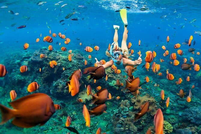 Blue Lagoon Snorkeling - Jungle Swing - Ubud - All Inclusive - Tegalalang Rice Terrace: a walk that’s easy to pace
