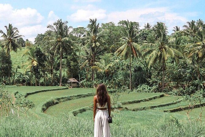 Blue Lagoon Snorkeling - Jungle Swing - Ubud - All Inclusive - Should you book this Blue Lagoon + jungle swing tour?
