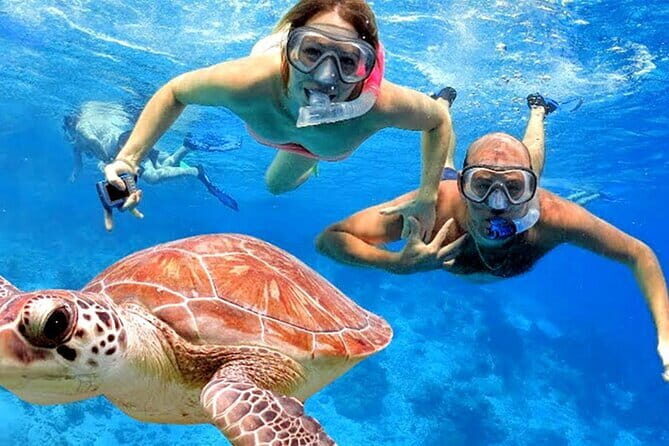 Blue Lagoon Snorkeling with Lunch and Private Transport - How the 2-hour flow works without feeling rushed