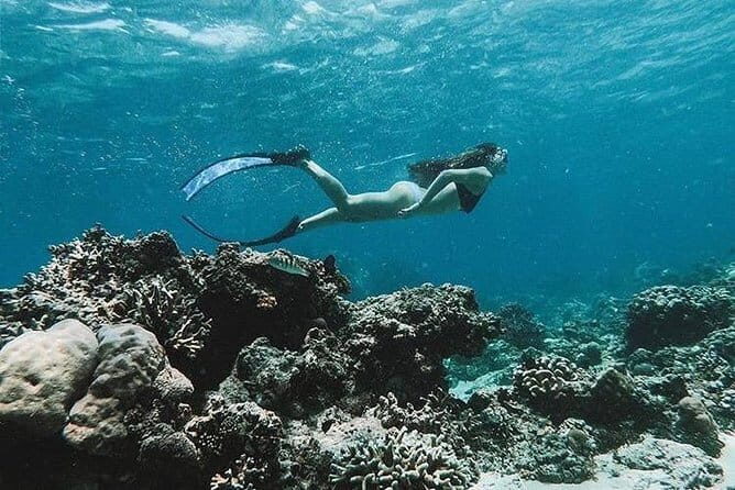 Blue Lagoon Snorkeling with Lunch and Waterfall in Ubud - Who This Tour Fits Best (and Who Might Skip It)