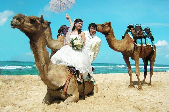Camel Safari 30 minutes In White Sand Beach - Key Takeaways You’ll Actually Use
