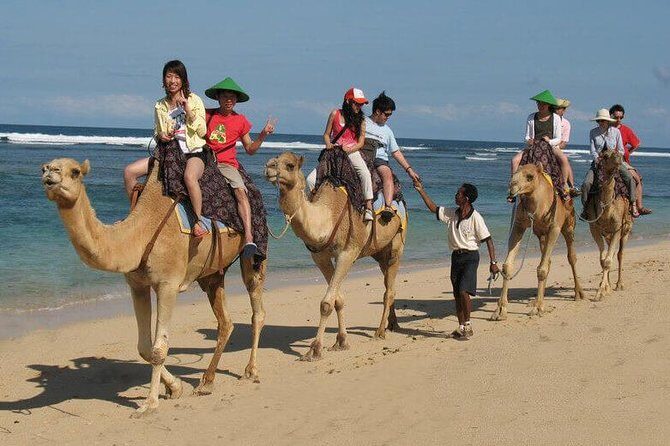 Camel Safari 30 minutes In White Sand Beach - Why Sawangan Beach Works So Well for a Camel Safari