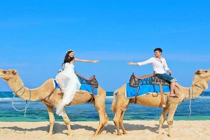Camel Safari 30 minutes In White Sand Beach - The Private Transfers: The Real Value of This Package