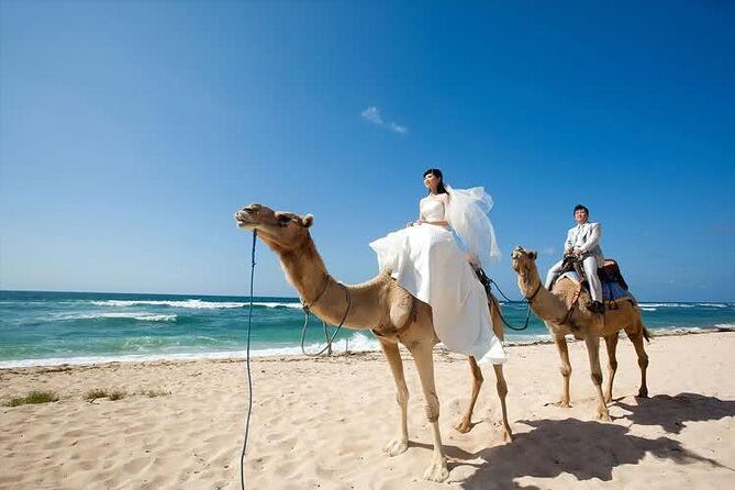 Camel Safari 30 minutes In White Sand Beach - Price and Value: Is $85 Per Person Reasonable?