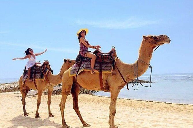 Camel Safari 30 minutes In White Sand Beach - What the 30-Minute Camel Ride Feels Like on the Ground