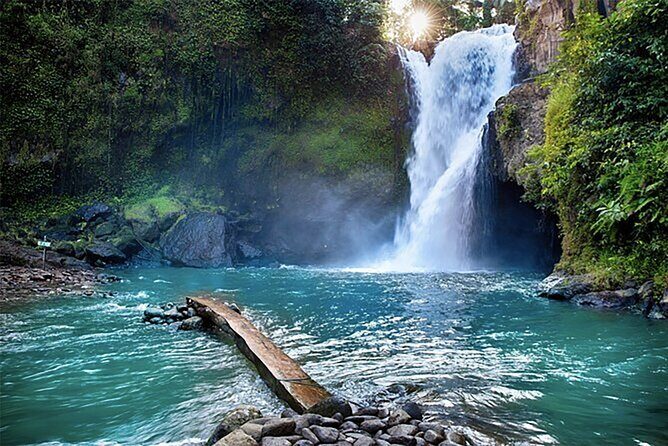 Customizable full-day tour of Bali with private driver - Stop-by-stop: what each classic site gives you