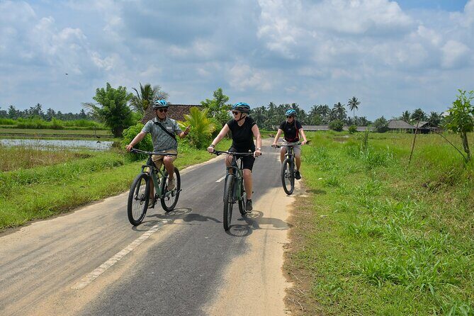 Cycling and Cooking Class in Ubud - Cycling through rice fields: what it feels like in real life