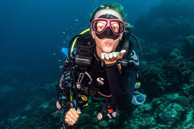 Day Trip certified divers - 3 Dives in Tulamben (pick-up & drop-off included) - What the three underwater sessions are actually like
