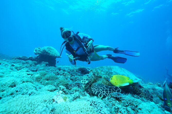Day Trip Discover Scuba dive in Nusa Penida 2 dives (From Sanur - South Bali) - Key highlights you’ll feel on the day