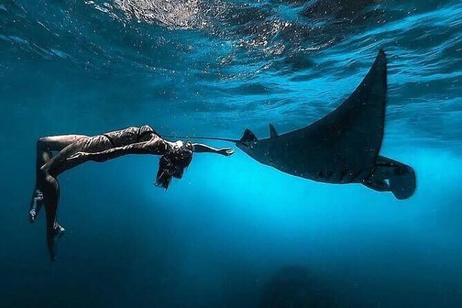 Day Trip: Nusa Penida Snorkling - Quick hits before you go