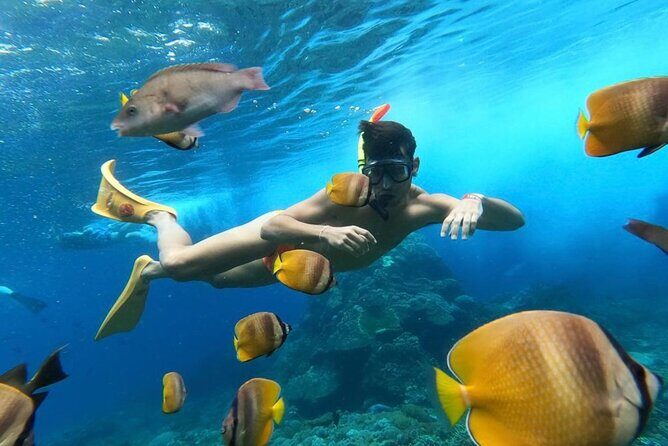 Day Trip: Nusa Penida Snorkling - Entering Nusa Penida from Seminyak: how the day starts