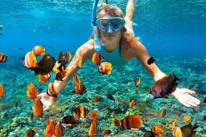 Day Trip: Nusa Penida Snorkling - Lunch on Penida: included, local, and made for refueling