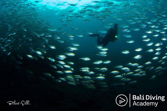 Day Trip Snorkeling in Tulamben - Explore Liberty Wreck (pick up in South Bali) - Gear check and briefing: the part that makes snorkeling feel calm
