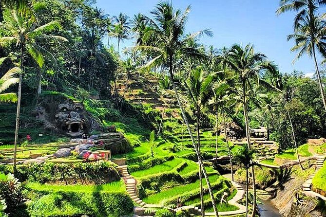 Design Your Own Bali Tour - The driver makes the difference: Aman, Adit, Putu, and the service style