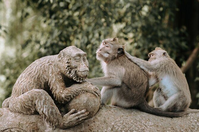 Discover Ubud: 2 Days Ubud Private Tour - Day 1: Barong and Keris at Batubulan, Then Monkey Forest and Tegalalang