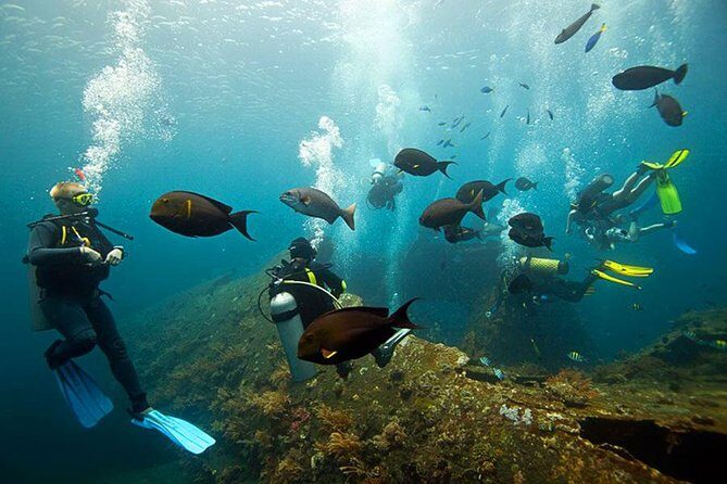Dive at Tulamben Bali USS Liberty Ship Wreck - Two underwater sessions: why getting a second turn helps