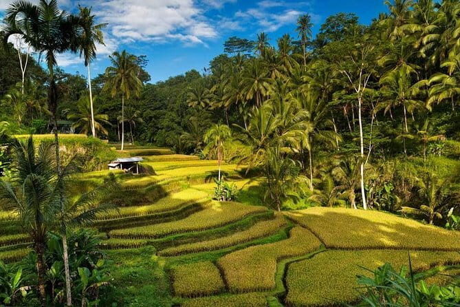 Exploring Bali in 3 Days: Discover Top Places in Bali - Quick hits