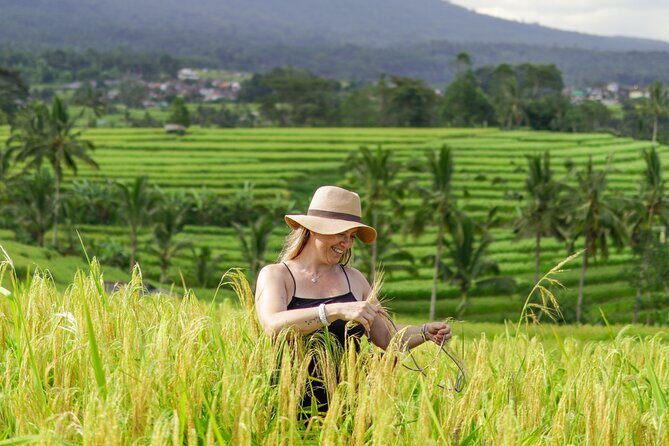 Exquisite UNESCO World Heritage Sites in Bali - Stop 1: Taman Ayun Temple and the Mengwi family story