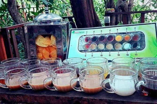 Full Day Kintamani and Penglipuran Village Private Chartered Car Tour from Bali - Penglipuran Village: why it’s beautiful, and why it can feel “too tidy”