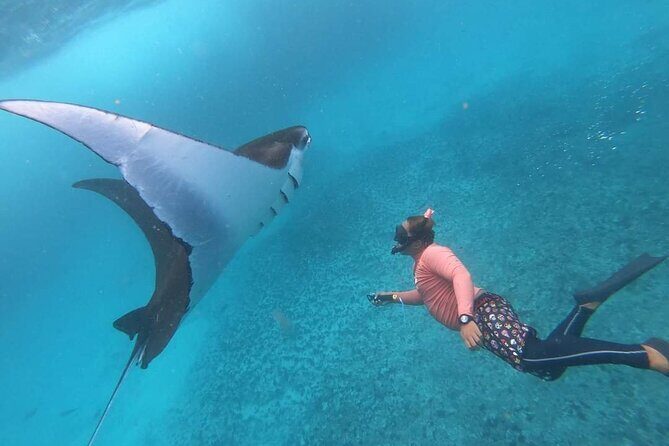 Full Day Nusa Penida Manta Point Snorkeling and West Island Tour - Sanur to Nusa Penida: pickup, meeting point, and the boat day