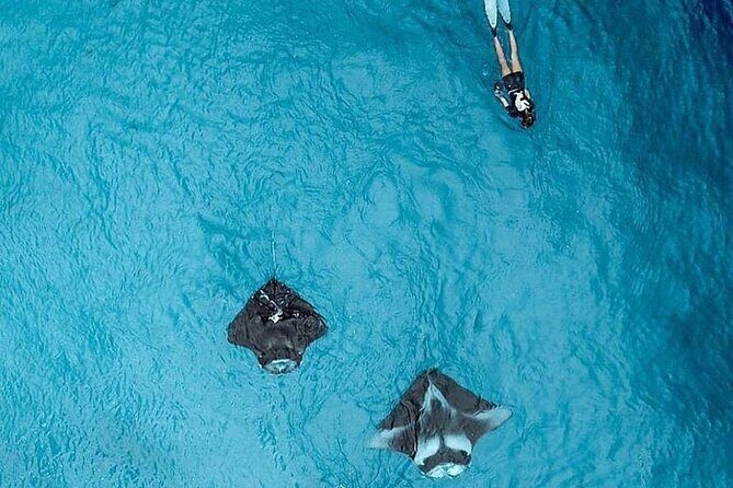 Full Day Nusa Penida Manta Point Snorkeling and West Island Tour - Lunch, tickets, and included extras: what you’re paying for