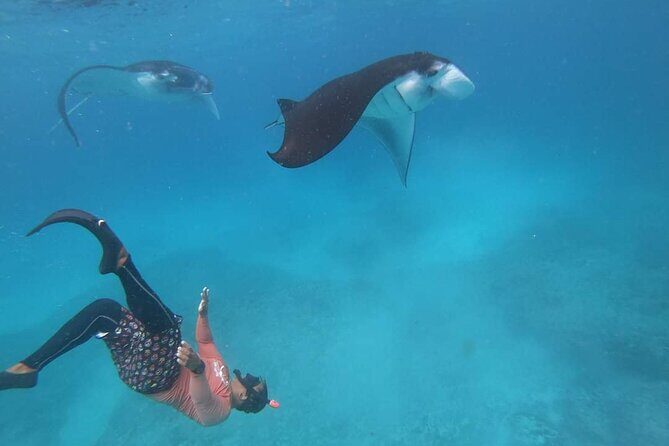 Full Day Nusa Penida Manta Point Snorkeling and West Island Tour - Price and logistics: why the $43 can make sense