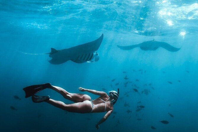 Full Day Nusa Penida Manta Point Snorkeling and West Island Tour - Manta Point snorkeling: gear, timing, and how to make the most of it