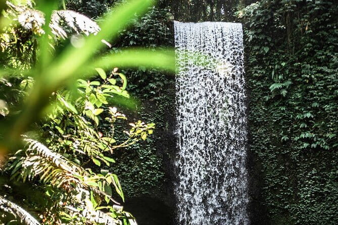 Full Day Private Tour All Inclusive Hidden Gems Bali Waterfall - Tegenungan Waterfall: Ubud’s Famous Crowd Control