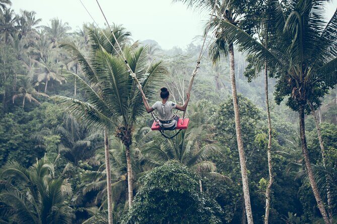Full day Tour to Best of Ubud with jungle swing - Private hotel pickup from Seminyak: the real time saver