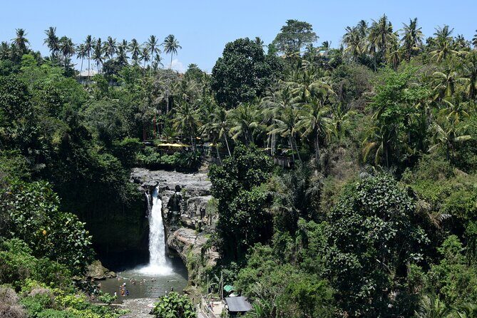 Full day Tour to Best of Ubud with jungle swing - Tegenungan Waterfall: a 20-meter swim stop that feels like payoff