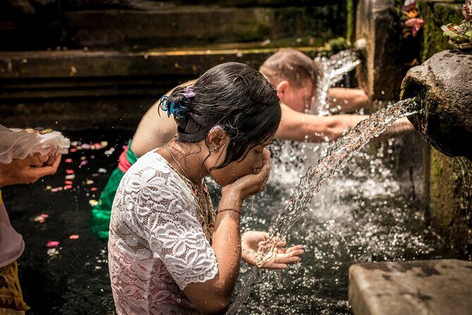 Full day Tour to Best of Ubud with jungle swing - Price and logistics: what you’re really paying for