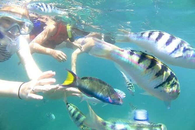 Gate Heaven Tirta Gangga With Snorkeling Private Guided Tour - A private 10-hour plan that actually makes sense
