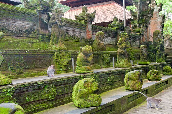 Goa Gajah / Elephant Cave Temple And Ubud Tour - All Inclusive - Ulu Petanu Waterfall: A Relaxing Break for Photos and Possible Swimming