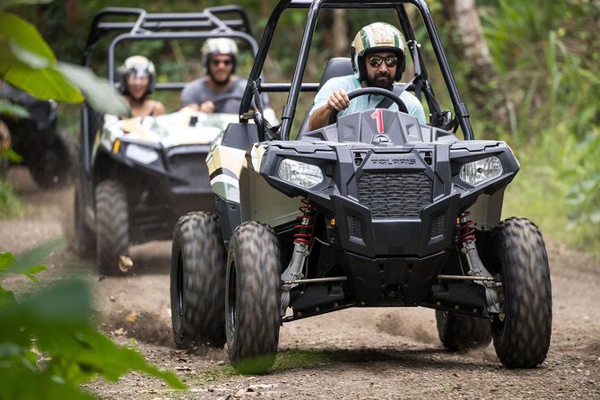 Half Day Jungle Buggies in Bali with Guide - What the Guide Does (Beyond Just Leading the Way)